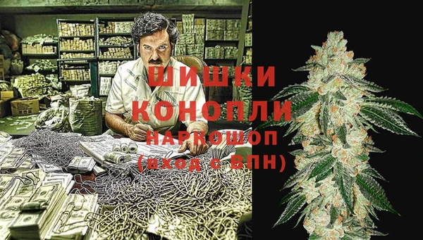 ГАЛЛЮЦИНОГЕННЫЕ ГРИБЫ Верхний Тагил