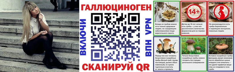 цена наркотик  Гусиноозёрск  Псилоцибиновые грибы Psilocybine cubensis 